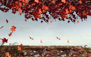 91爆料猛料吃瓜牵出冷门细节，那层窗户纸终于被捅开了